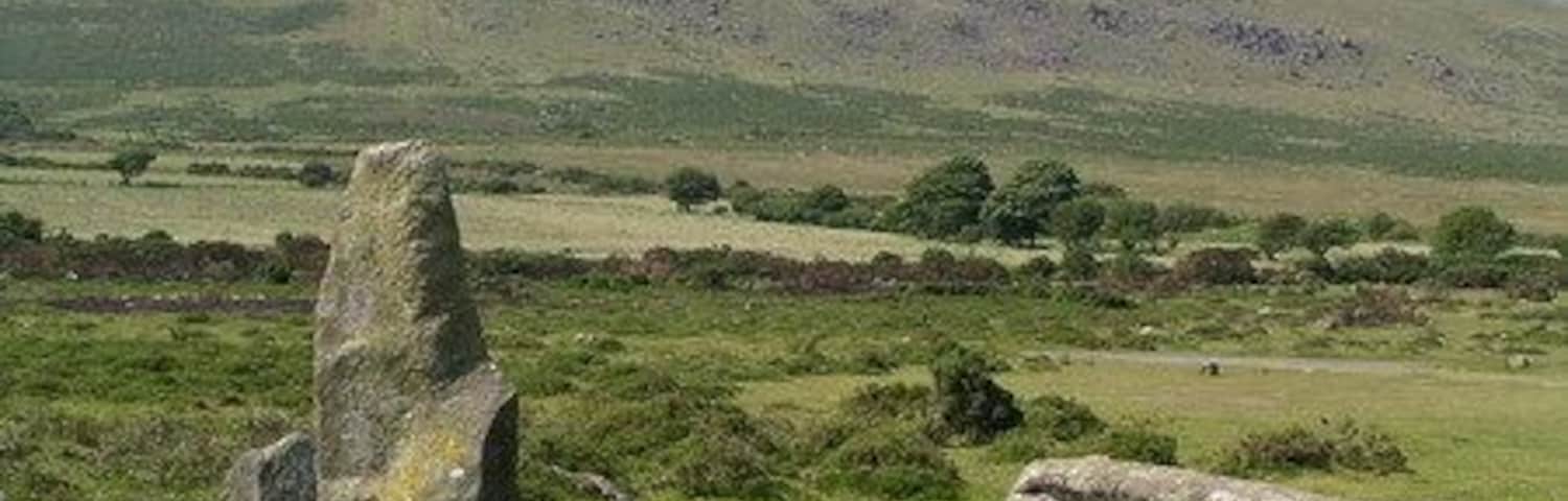 Rhos Fach. Near Mynachlogddu.