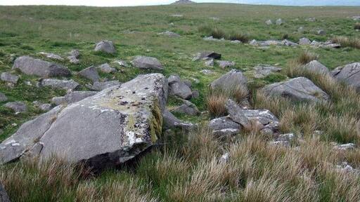 Carn Bica from Carn Sian The peak of Carn Bica is aligned due north of Carn Sian: these natural rockpiles must have been invaluable in direction finding for millennia. The coarse grass and rushes growing among the boulders provides a habitat for stonechats whose clinking call suits the surroundings.