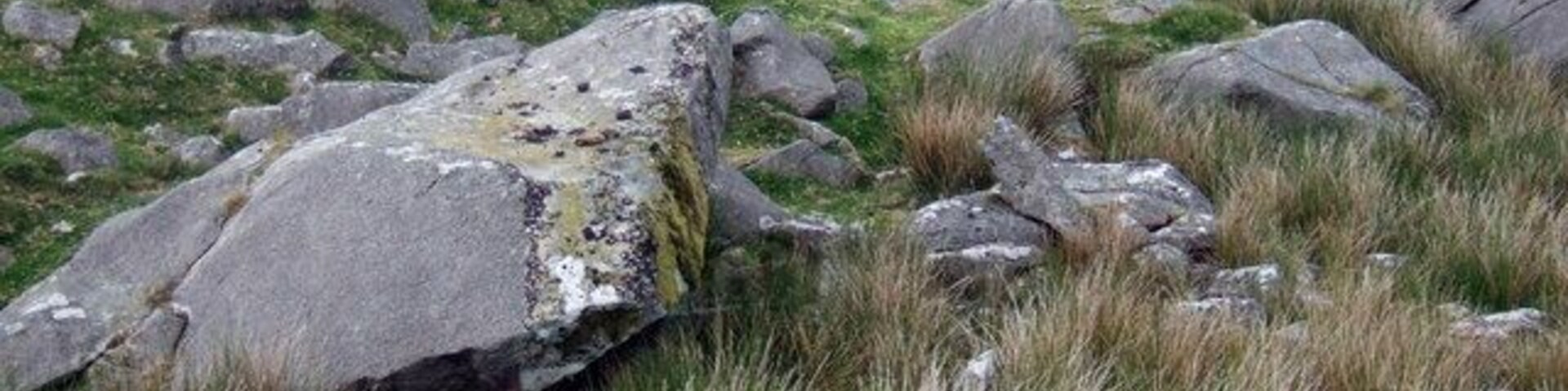 Carn Bica from Carn Sian The peak of Carn Bica is aligned due north of Carn Sian: these natural rockpiles must have been invaluable in direction finding for millennia. The coarse grass and rushes growing among the boulders provides a habitat for stonechats whose clinking call suits the surroundings.