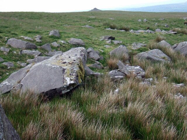 A grassy field with large rocks and a distant mountain range.