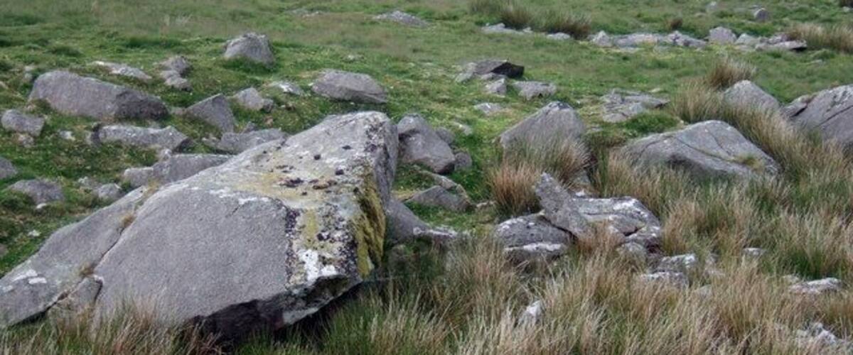 A grassy field with large rocks and a distant mountain range.