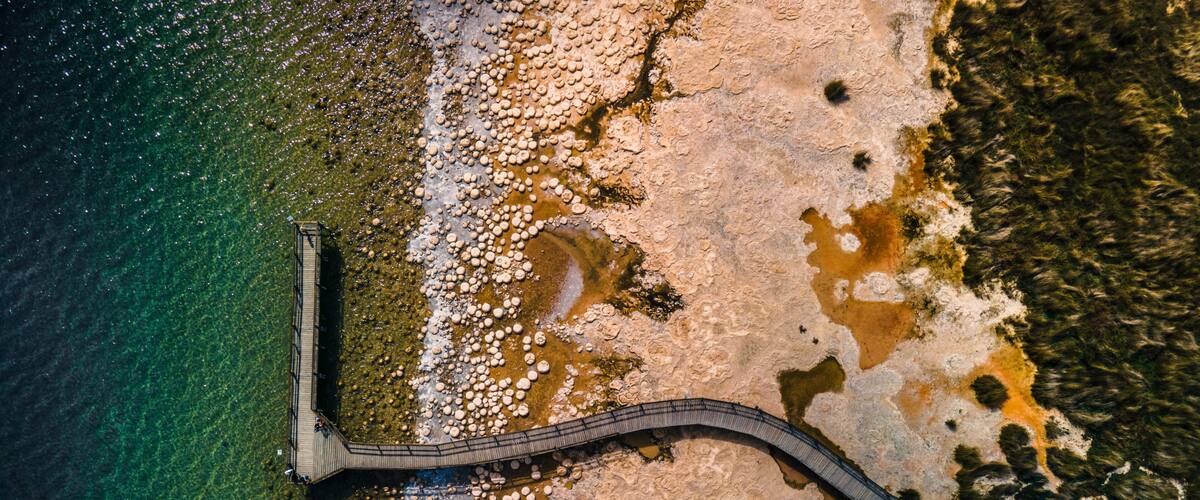 Lake Clifton Thrombolites