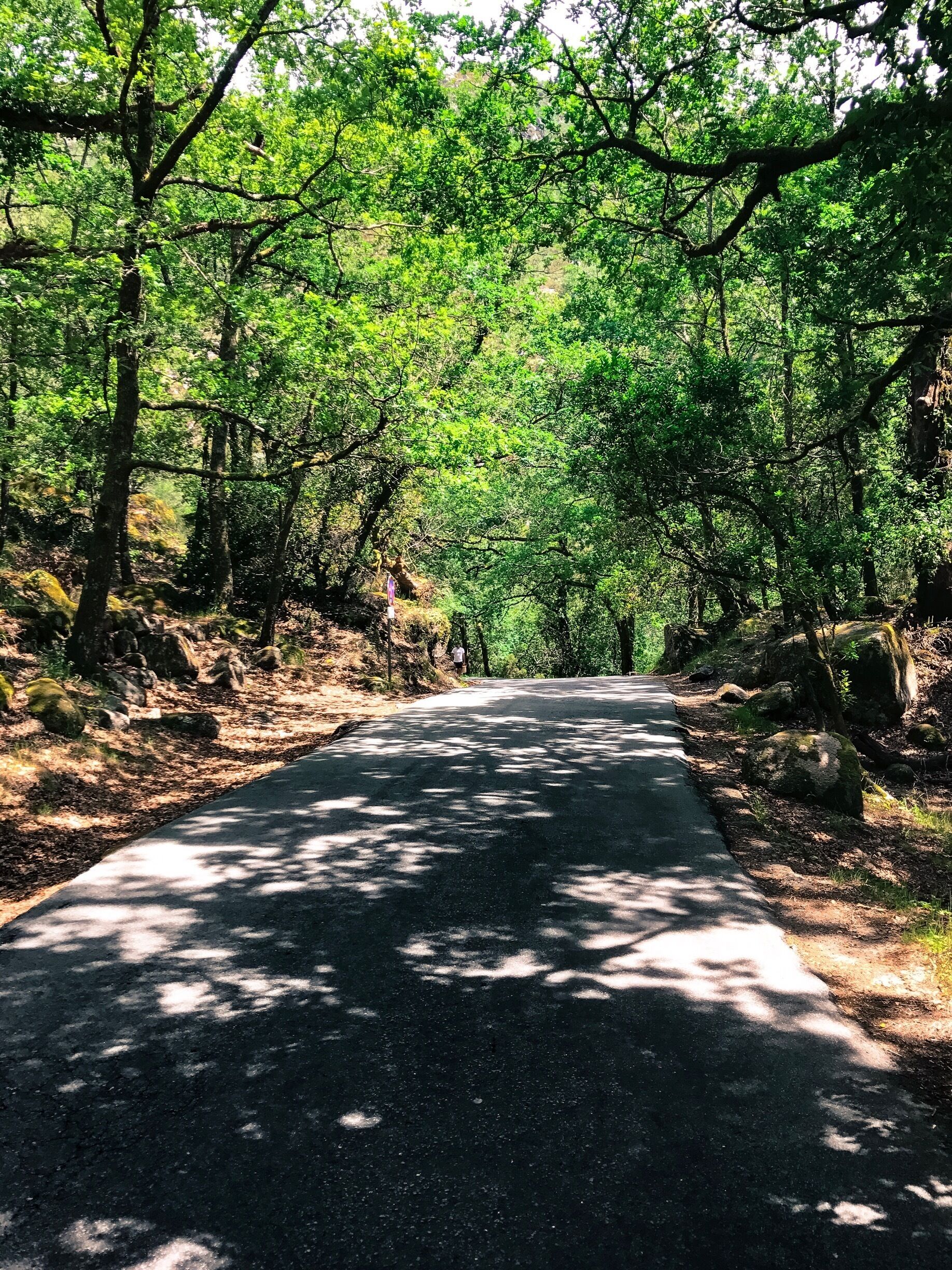 This is the beautiful way to the waterfalls in Portela do Homem (Gêres)
#LifeAtExpedia #Colourful #Outdoors