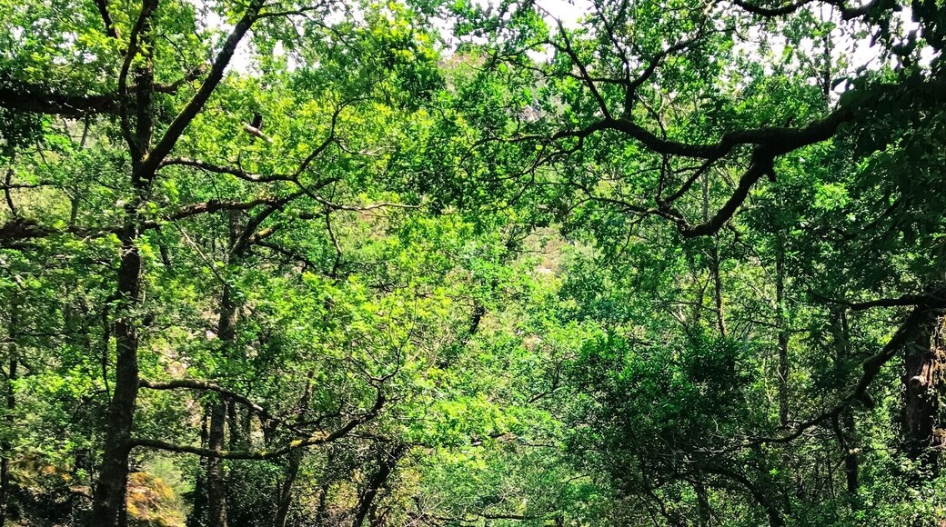 This is the beautiful way to the waterfalls in Portela do Homem (Gêres)
#LifeAtExpedia #Colourful #Outdoors