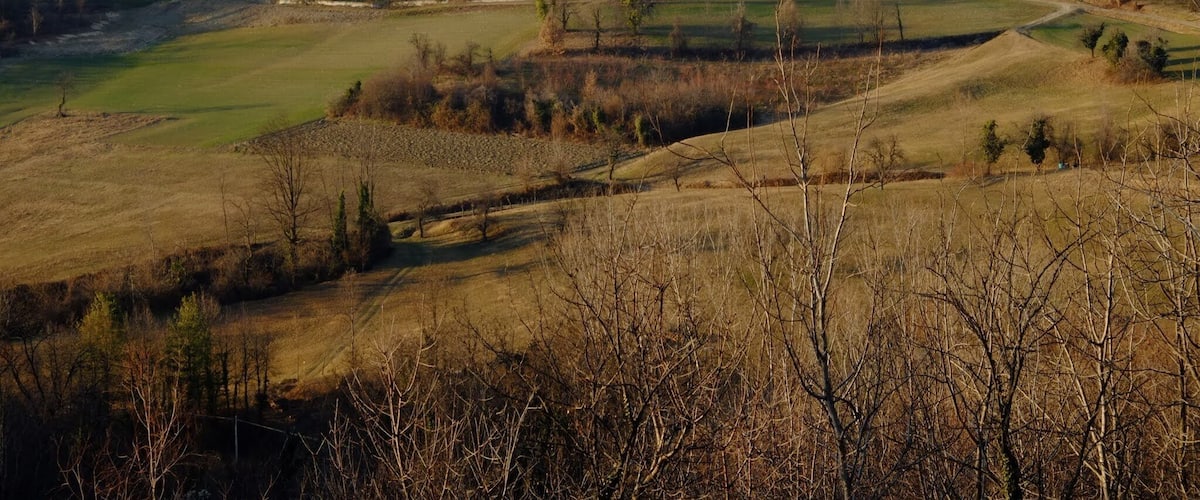 A rural landscape with rolling hills, scattered houses, and a mix of deciduous and coniferous trees.