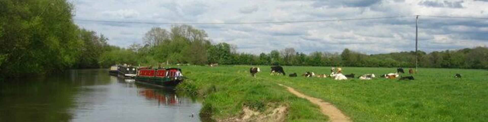 Eroding banks Caused by cattle coming to drink from the Kennet and Avon Navigation.