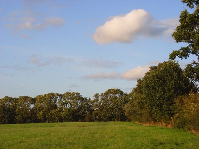 Un campo cubierto de hierba con árboles al fondo y un cielo despejado.