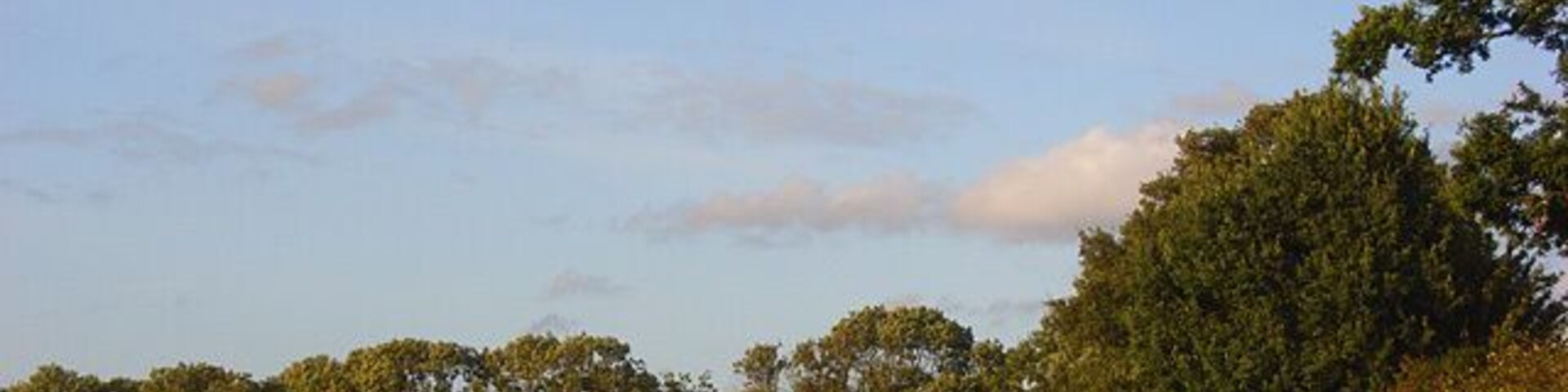 Un campo cubierto de hierba con árboles al fondo y un cielo despejado.