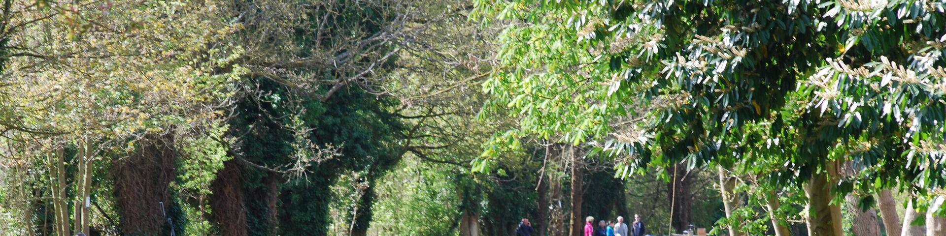 #SpringFun. spring morning on the canal