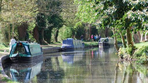 #SpringFun. spring morning on the canal