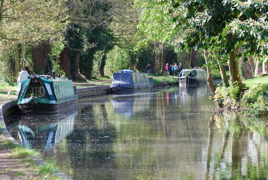 #SpringFun. spring morning on the canal