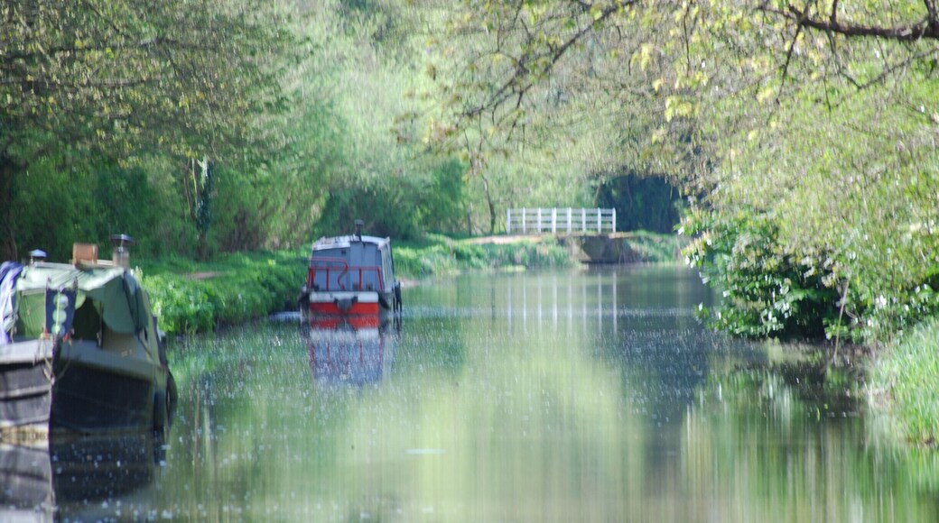 #SpringFun. beautiful spring morning on the canal