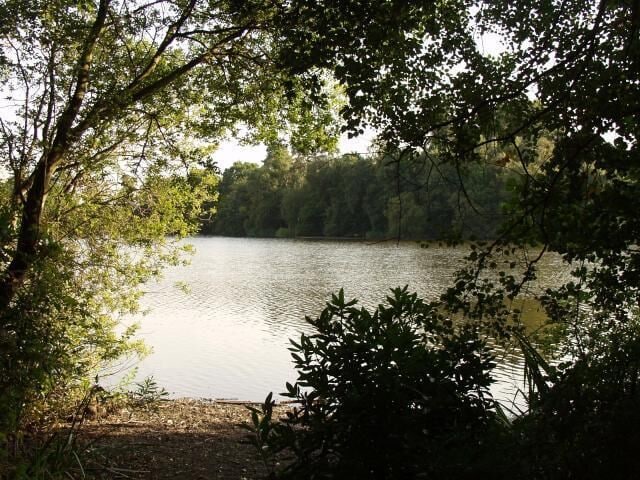 Southlake. Viewed from south east bank across to north west.