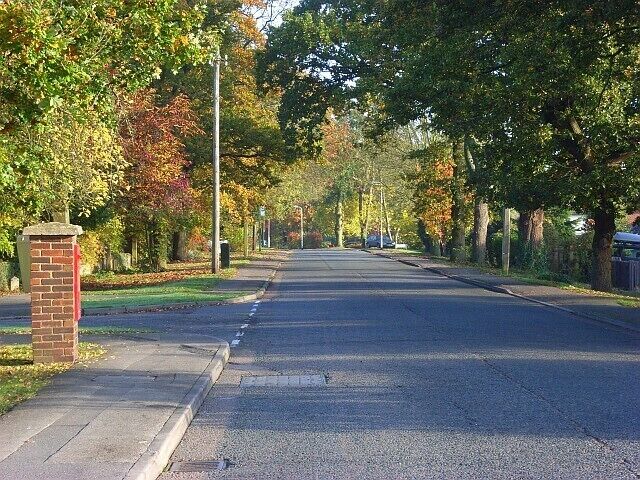 Western Avenue, Woodley This is at the junction with Rycroft Close. Most of the trees are oaks. The road was formerly known as Mustard Lane, which still exists in Sonning, separared from this stretch by the railway.