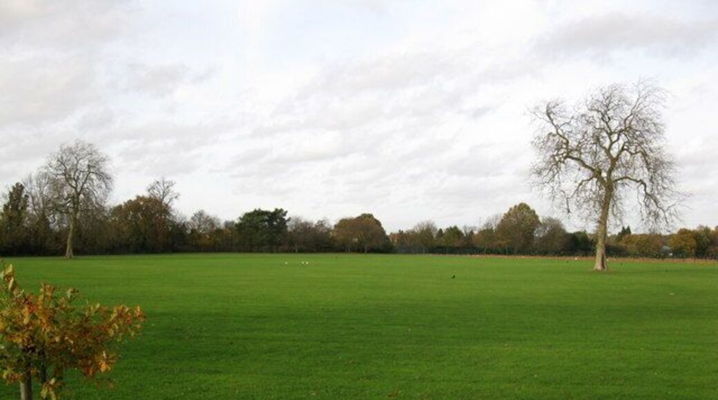 Grass The many signs here state that this area is the private property of Berkshire County Council (now defunct) Education Authority and that trespassers will be prosecuted. Nevertheless, there is no fence and it is frequently used by the public.