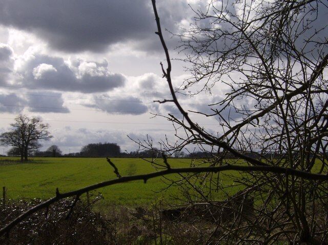Stormy skies Farmland to the southwest of Greendean Farm, looking towards Trench Green, from the footpath that just clips the north-east corner of this square. The powerlines crossing this square are just visible. The weather looks threatening, but despite a stiff breeze it did not rain.