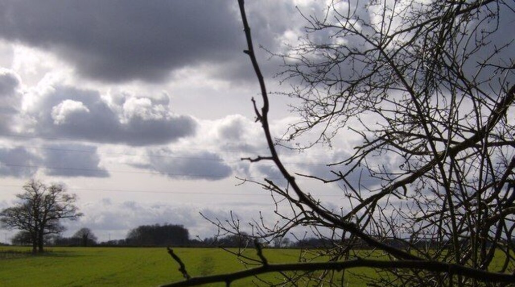 Stormy skies Farmland to the southwest of Greendean Farm, looking towards Trench Green, from the footpath that just clips the north-east corner of this square. The powerlines crossing this square are just visible. The weather looks threatening, but despite a stiff breeze it did not rain.