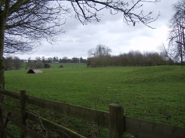 A green field with a wooden fence, a small structure, and trees in the background.