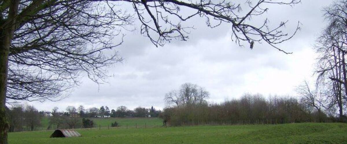 A green field with a wooden fence, a small structure, and trees in the background.