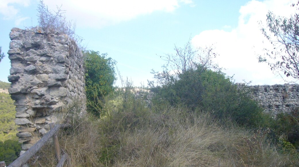 Castell de Miralles. Vista de l'interior de les ruïnes. A l'esquerra el mur oest