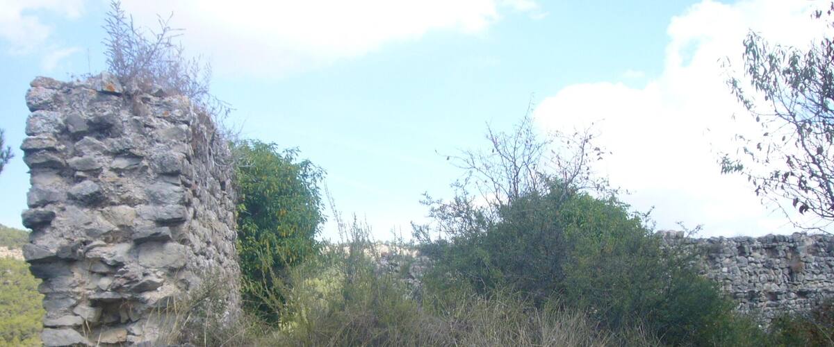 A stone wall, a wooden fence, and dry grass.