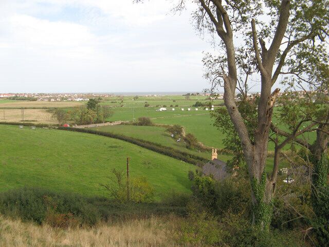 A rural landscape with rolling green fields, a prominent tree, and a distant village.