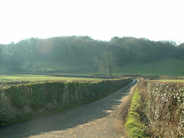 Lane near Glanwydden. Looking South towards the wooded ridge which dominates the square