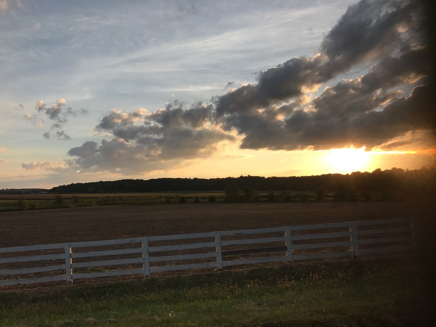 Sunset view from an open Jeep.
