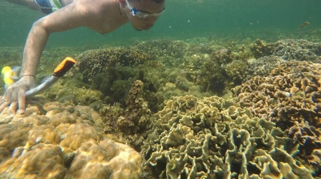 Magalawa island offers snorkeling experience at no cost at all.