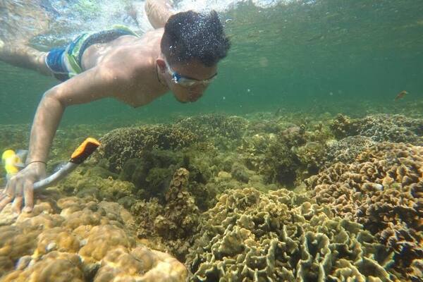 Magalawa island offers snorkeling experience at no cost at all.