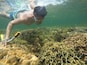 Magalawa island offers snorkeling experience at no cost at all.