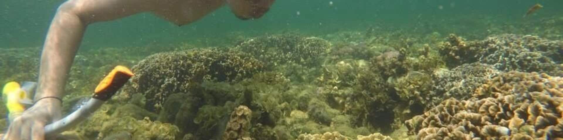 Magalawa island offers snorkeling experience at no cost at all.