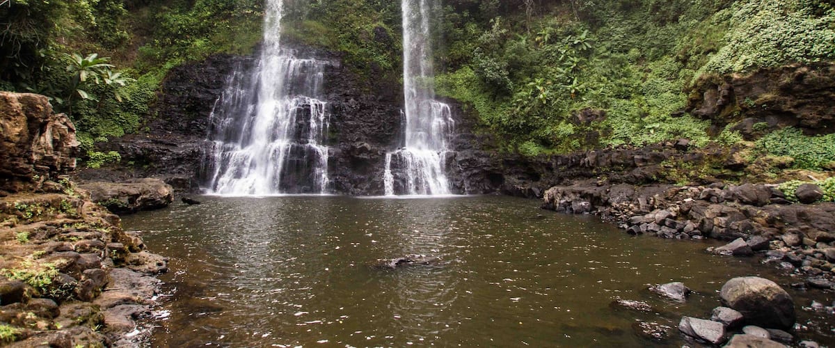 A waterfall cascading into a pool surrounded by lush greenery.