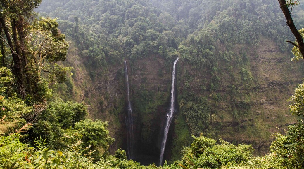 There’s a zip line across the valley the Tad Fane #Waterfall near #Pakse, #Laos 🇱🇦 falls into. Sadly, it’s a 30-minute trek back to the viewpoint after you’ve zipped across and I didn’t have the time available to try it.
#LifeAtExpedia