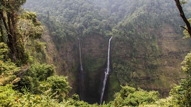 A lush green valley with two waterfalls cascading down a steep cliff.