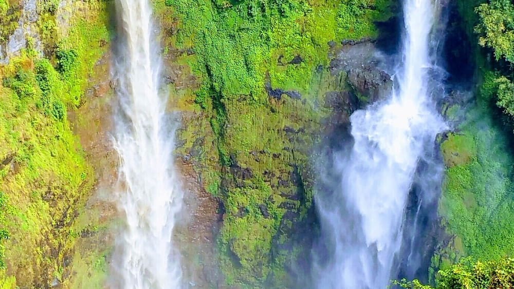 Deux cascades au cœur d’une forêt luxuriante et verdoyante.