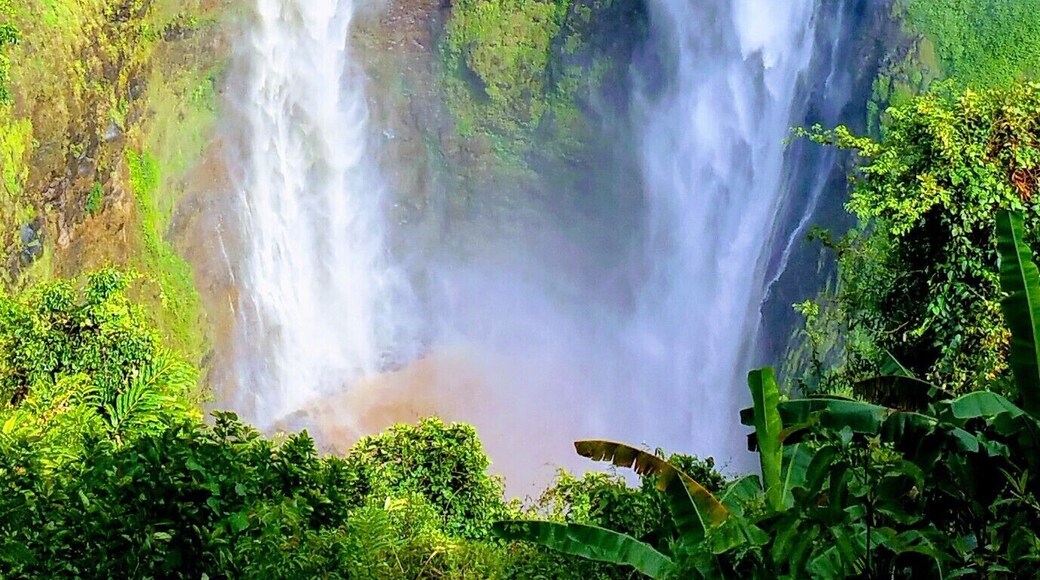 Tad Fane Waterfall, Bolaven Plateau, Pakse, Laos
Tad Fane Waterfall is Laos biggest and most impressive waterfall we saw. We did a 3 day motorbike loop around the Bolaven Plateau and was the highlight to our trip to Laos. #TakeAHike #packsandaplan
Find out more about Pakse Bolaven Motorbike Loop http://packsandaplan.com/?p=1346