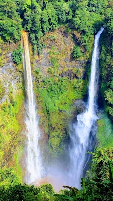 Two waterfalls in a lush, green forest.