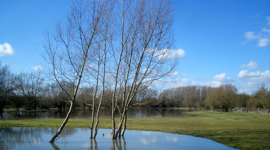 Partly flooded pasture just west of Stadhampton, Oxfordshire