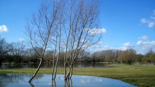 Partly flooded pasture just west of Stadhampton, Oxfordshire