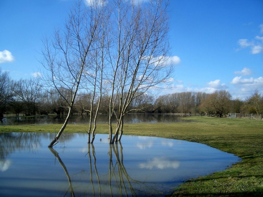 Partly flooded pasture just west of Stadhampton, Oxfordshire