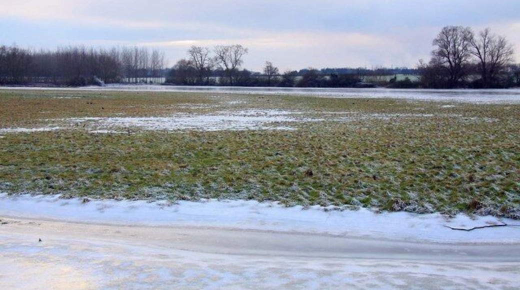 Frozen flooded field at Chiselhampton