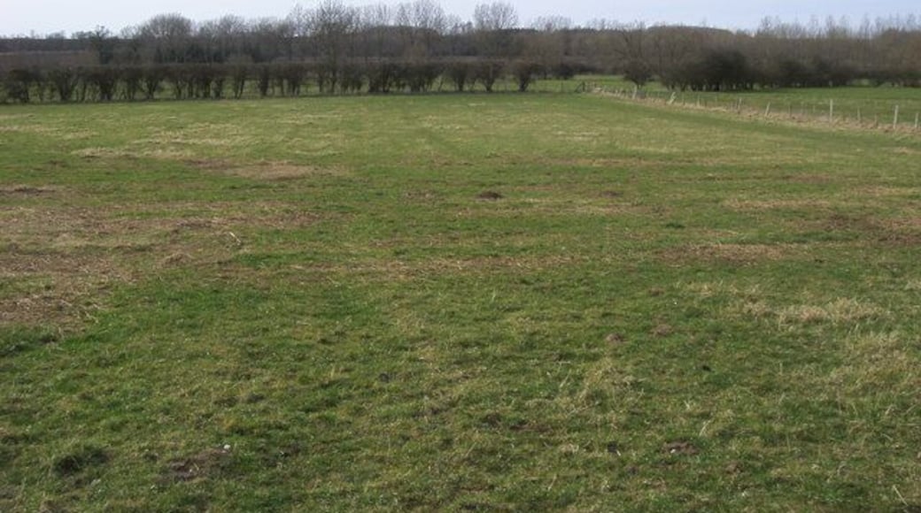 Fields down to River Thame Fields down to River Thame North of Chiselhampton
