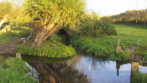 Brook by footpath off B480 Brook a tributary of nearby River Thame by footpath off B480