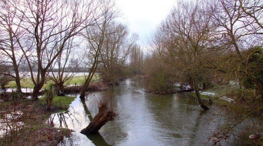 The River Thame at Chiselhampton