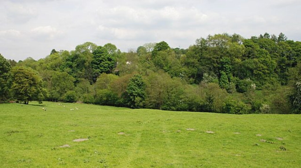 Field west of the Camnant The stream lies within the first group of trees.