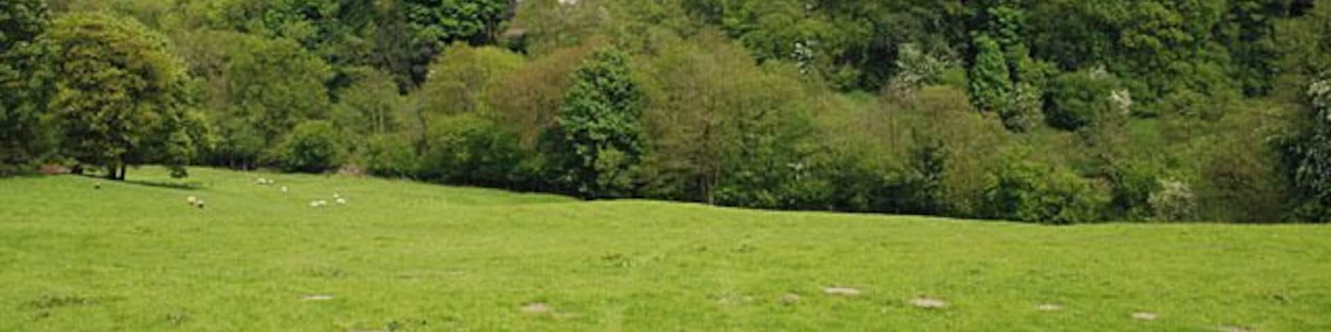 Field west of the Camnant The stream lies within the first group of trees.
