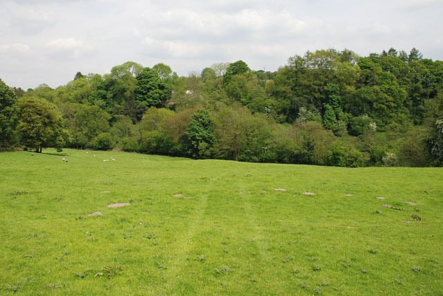 A grassy field with scattered trees and a forested hill in the background.