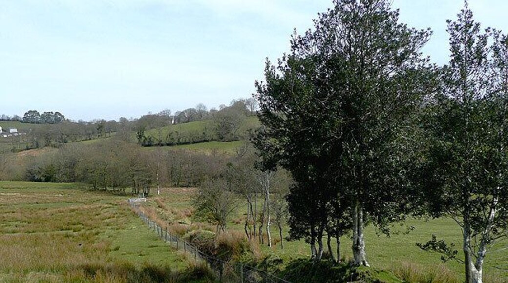 Public footpath to Ffaldybrenin, Carmarthenshire The stream of Camnant crosses the scene hidden in the trees at the far end of the field.