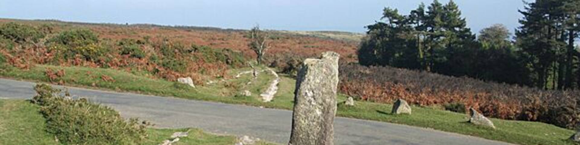Ilsington: by the road to Beckaford, near to Haytor Vale, Devon, Great Britain. The Haytor Granite Tramway once crossed the road here. It then heads downhill by the road to Bovey Tracey and disappears into Yarner Wood on its way to Ventiford wharf on the Stover Canal. For more on the tramway see SX7677: Ilsington: Haytor Granite Tramway. In Ilsington parish